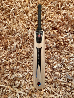 
                  
                    Load image into Gallery viewer, Allegiance Cricket Bat
                  
                