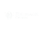 Redback Cricket 