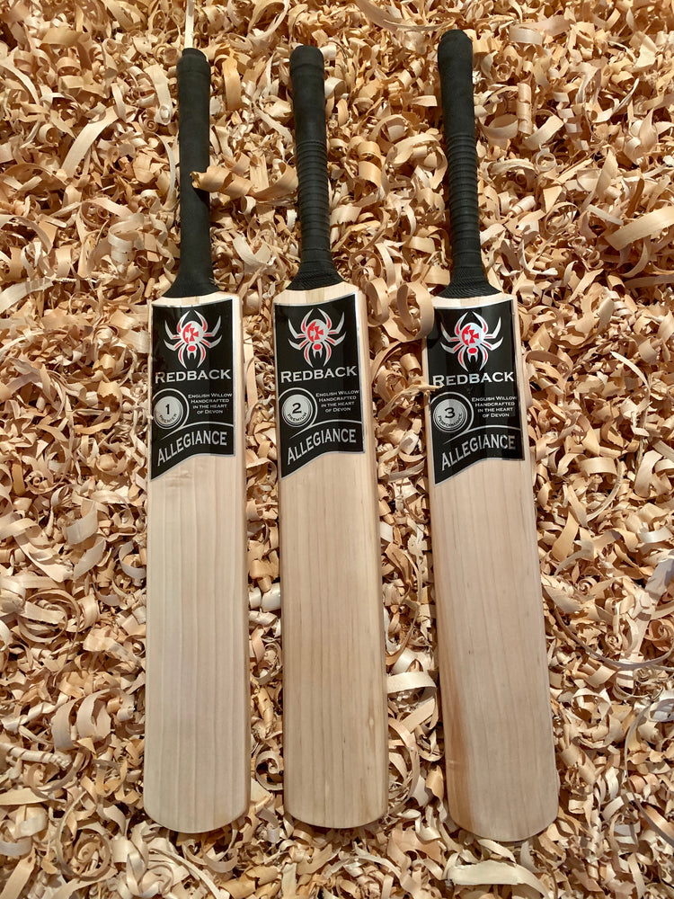 
                  
                    Load image into Gallery viewer, Allegiance Cricket Bat
                  
                