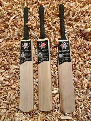 
                  
                    Load image into Gallery viewer, Allegiance Cricket Bat
                  
                